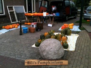 Brii Pumpkinfarm borden (3)